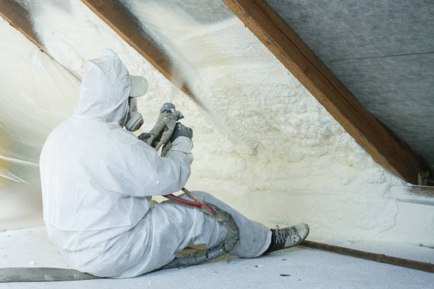 Best Fireproof Insulation in Leland Grove, IL