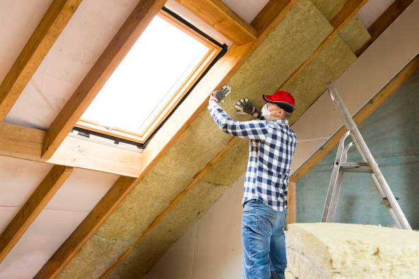 Best Spray Foam Insulation in Leland Grove, IL