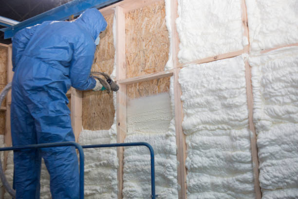 Best Weatherproofing Services in Leland Grove, IL